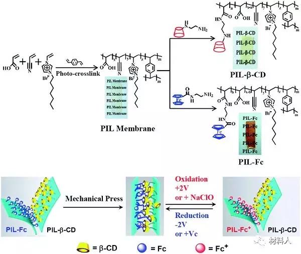 Monils - 默尼離子液體